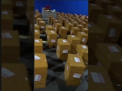 Colore di un pezzo sexy del costume da bagno del bikini che abbina il costume da bagno di un pezzo delle donne conservatrici